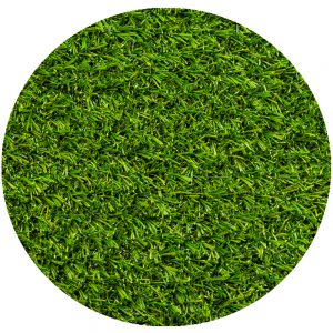Bermuda 20 Green